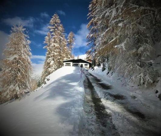 Apartment Gletscherbergblick Obergurgl Esterno foto