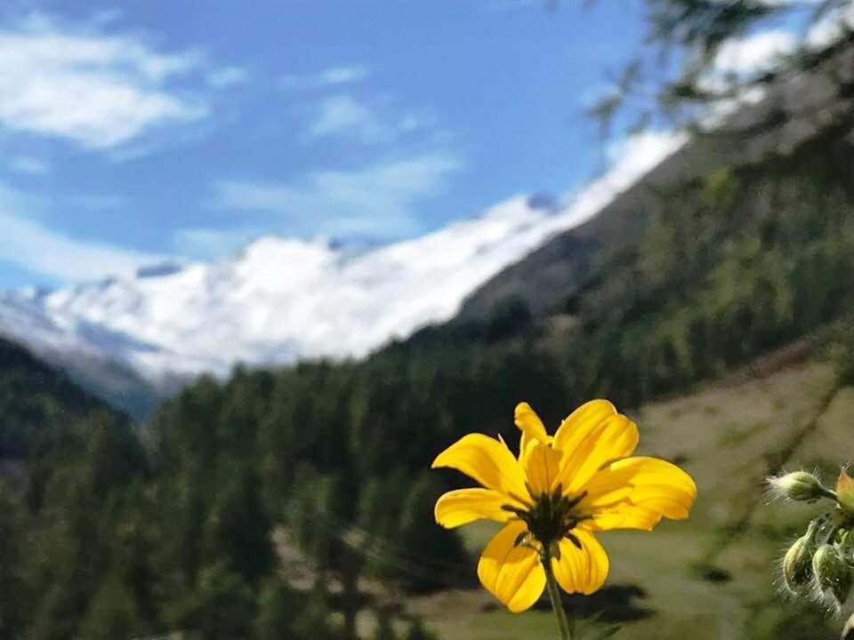 Apartment Gletscherbergblick Obergurgl Esterno foto
